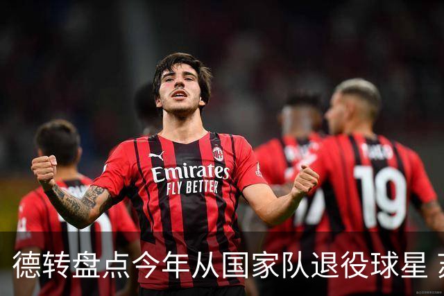 德转盘点今年从国家队退役球星 苏神穆勒锋线搭档